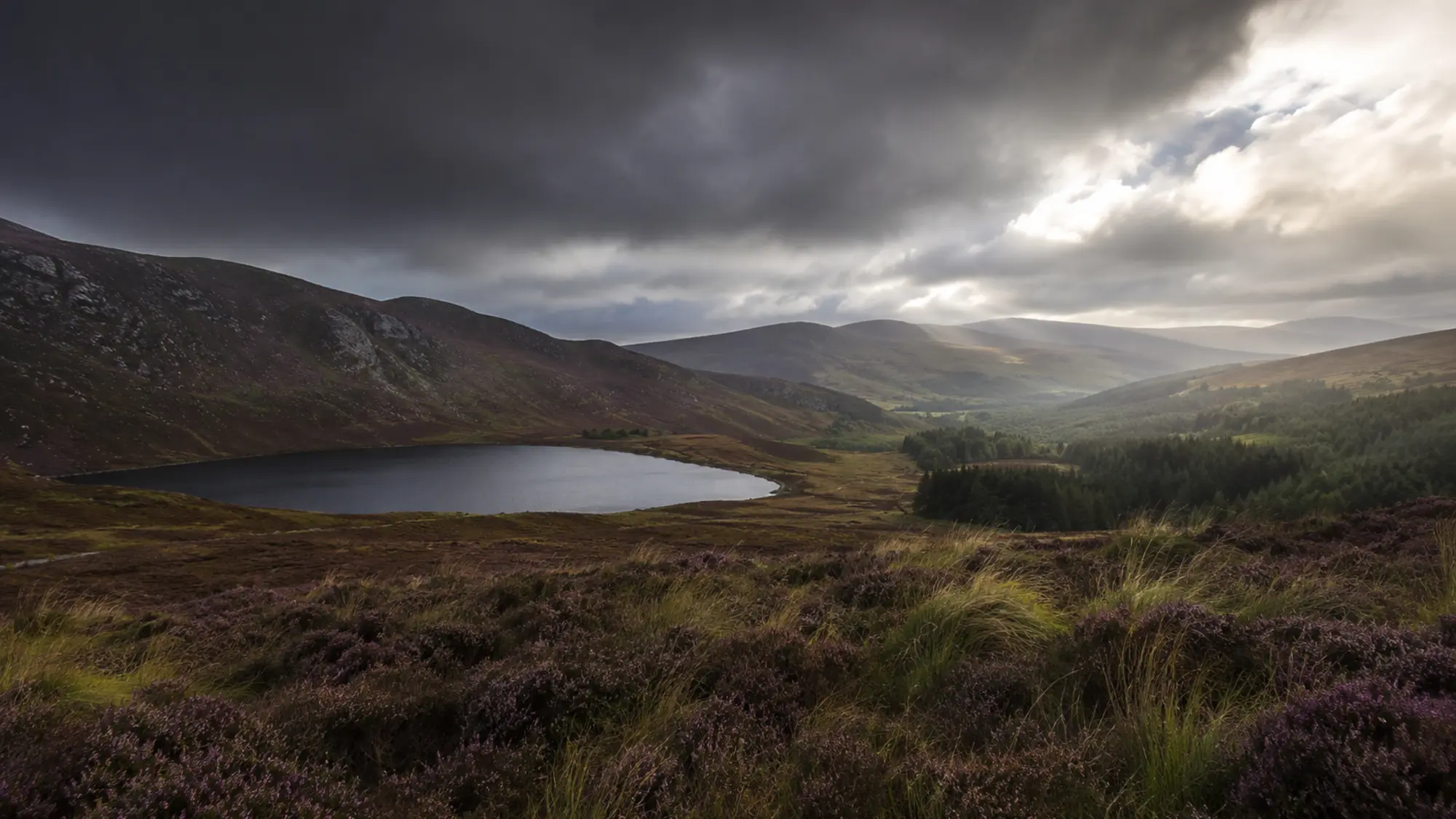 Wicklow