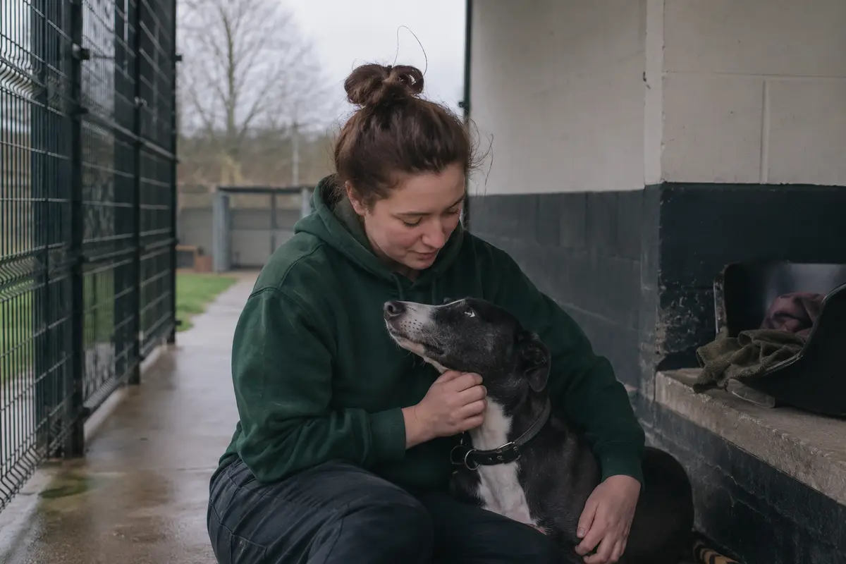 A volunteer caring for a rescue dog at a sanctuary